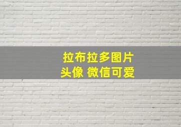 拉布拉多图片头像 微信可爱